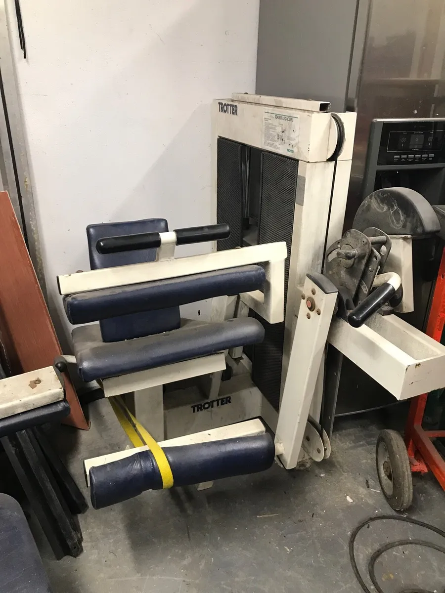 Seated Leg Machine - Image 1