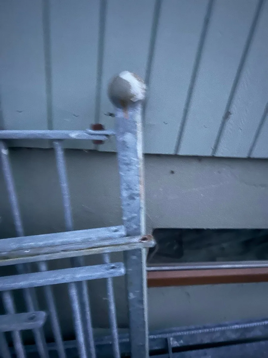 Railings galvanised with posts - Image 3