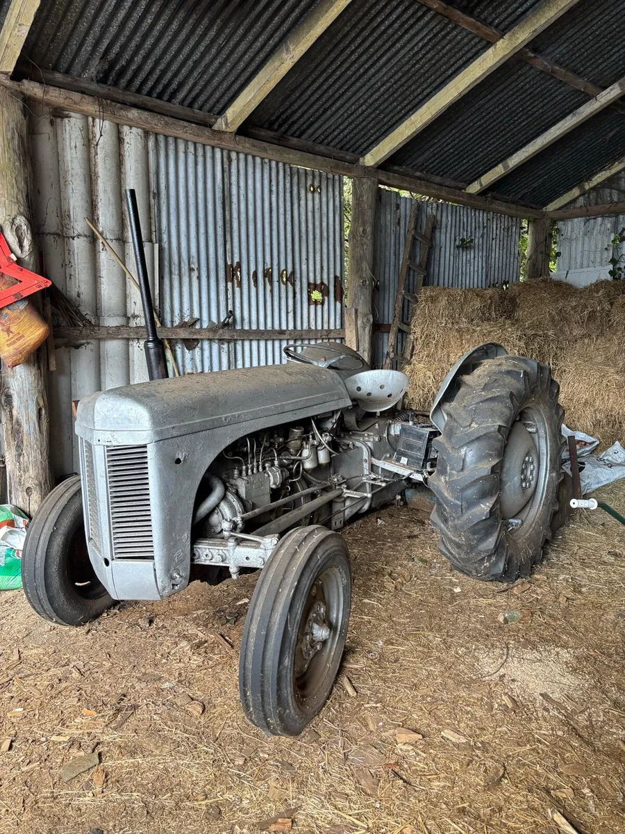 Massey ferguson grey - Image 1