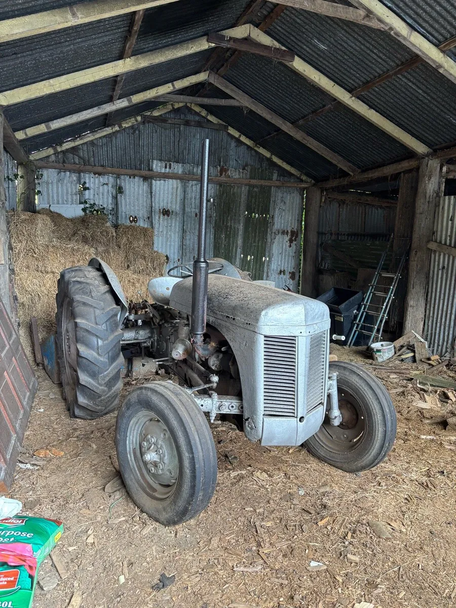 Massey ferguson grey - Image 2