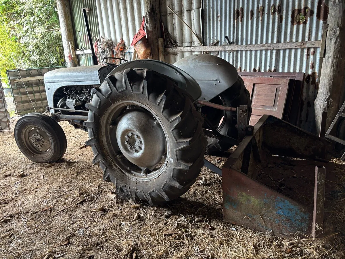 Massey ferguson grey - Image 3