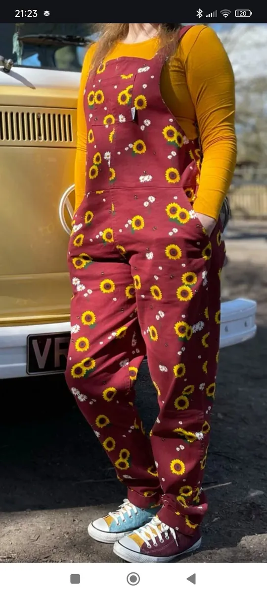 Adult Dungarees - Image 1