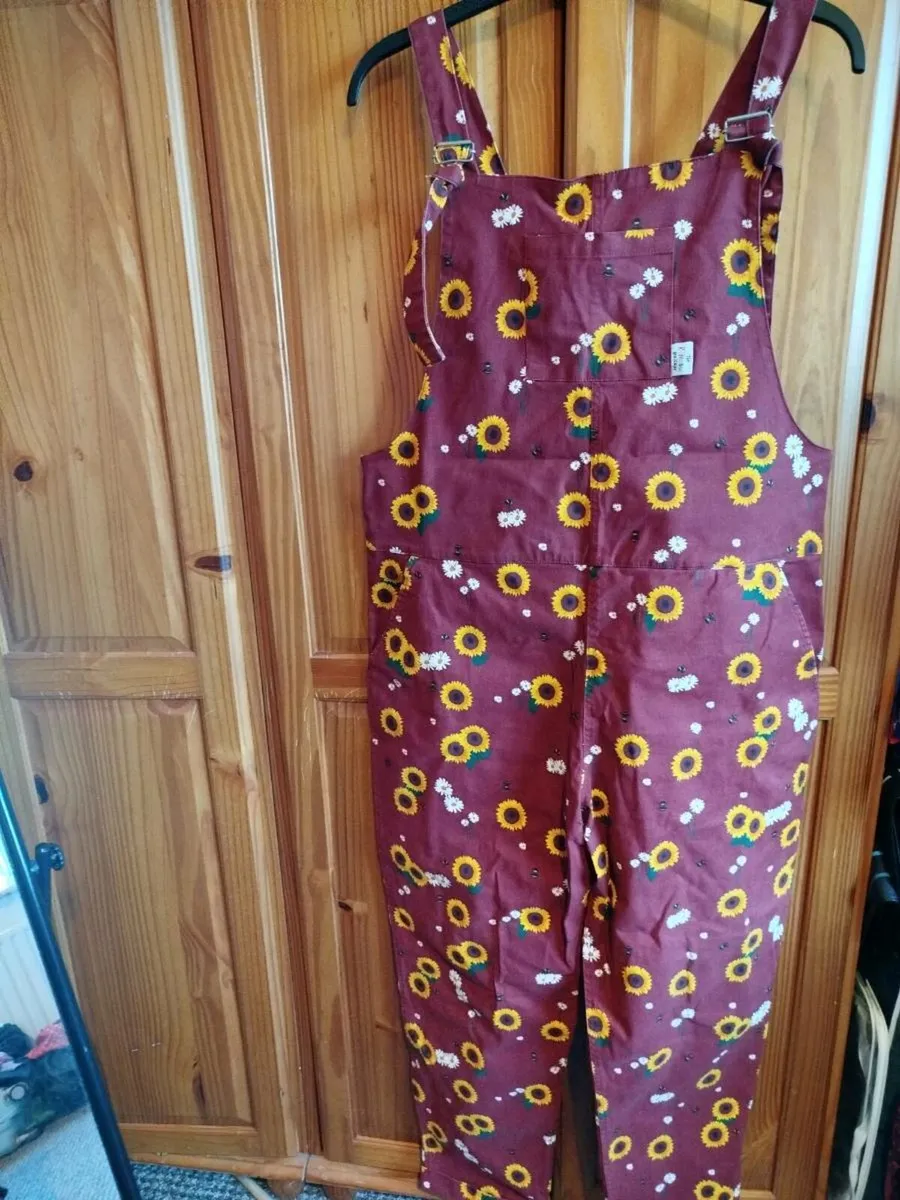 Adult Dungarees - Image 2