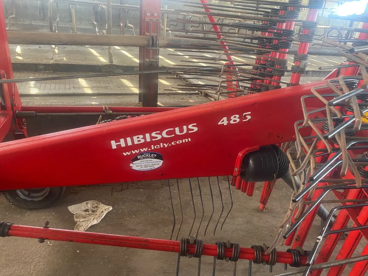 Lely hibiscus 485 - Image 1