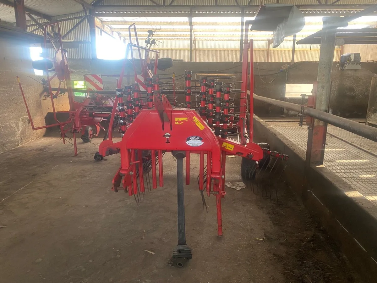 Lely hibiscus 485 - Image 2