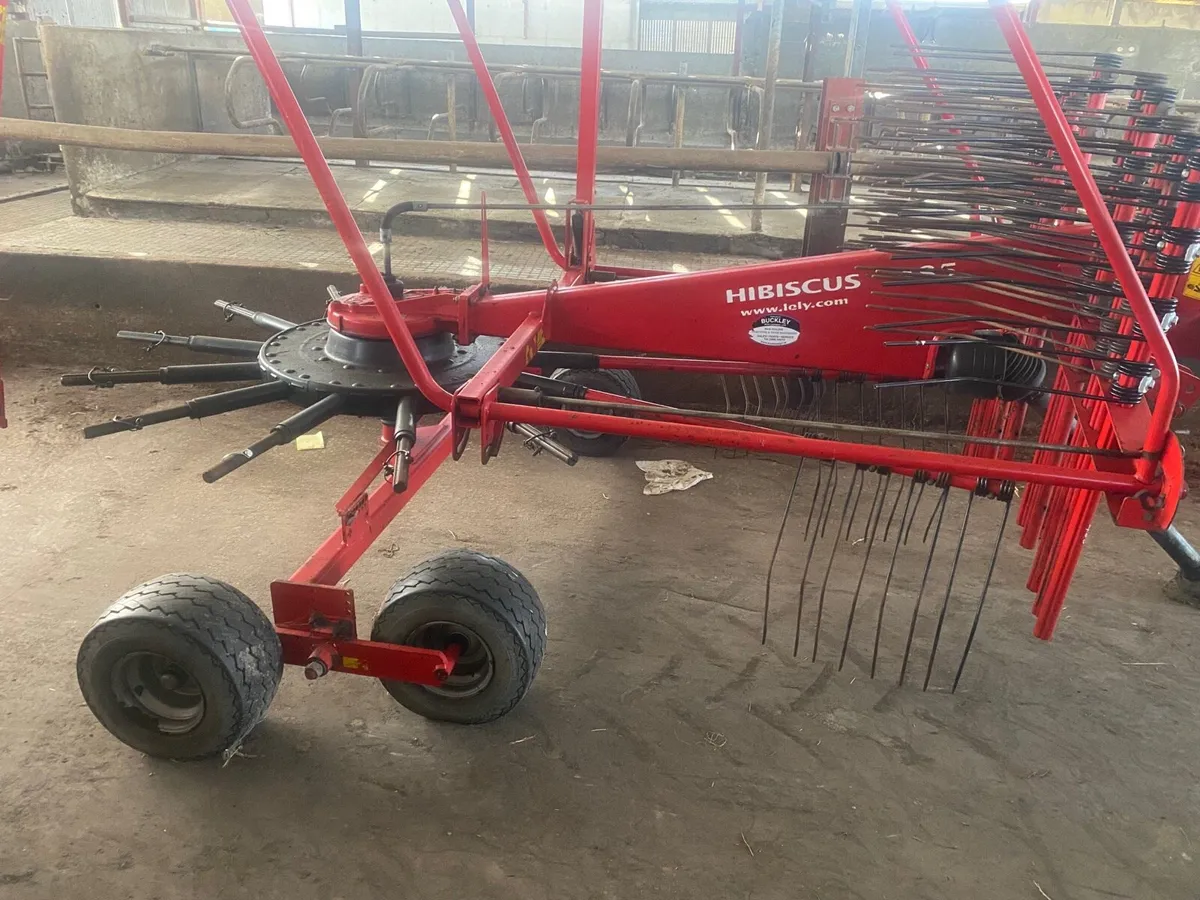 Lely hibiscus 485 - Image 3