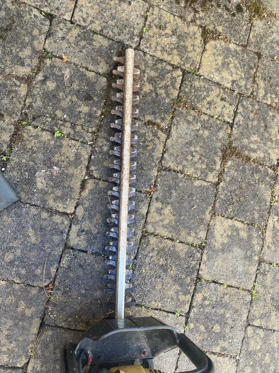 Procut Petrol Hedge Trimmer - Image 4