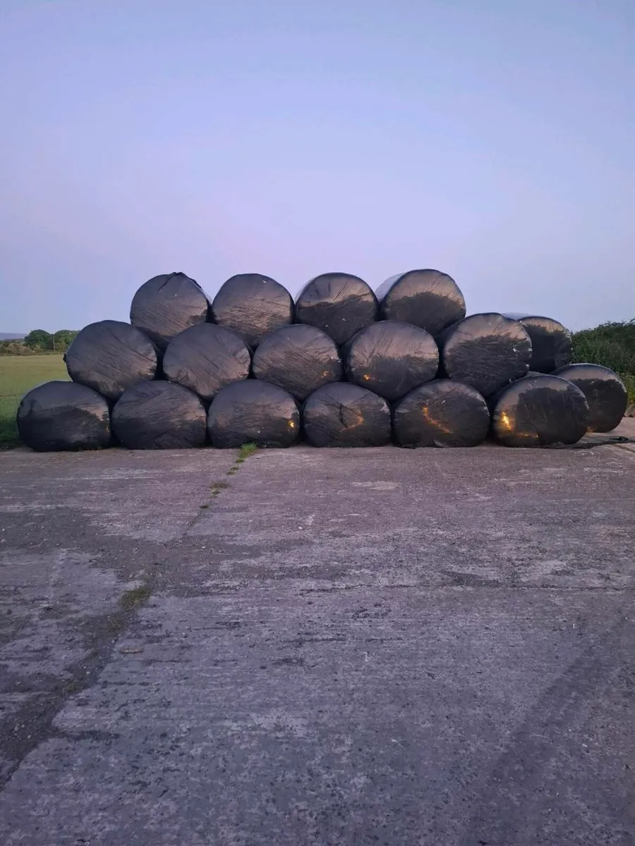60 bales of silage