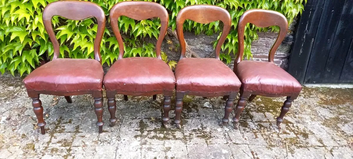 Antique set of four spoonback chairs - Image 1