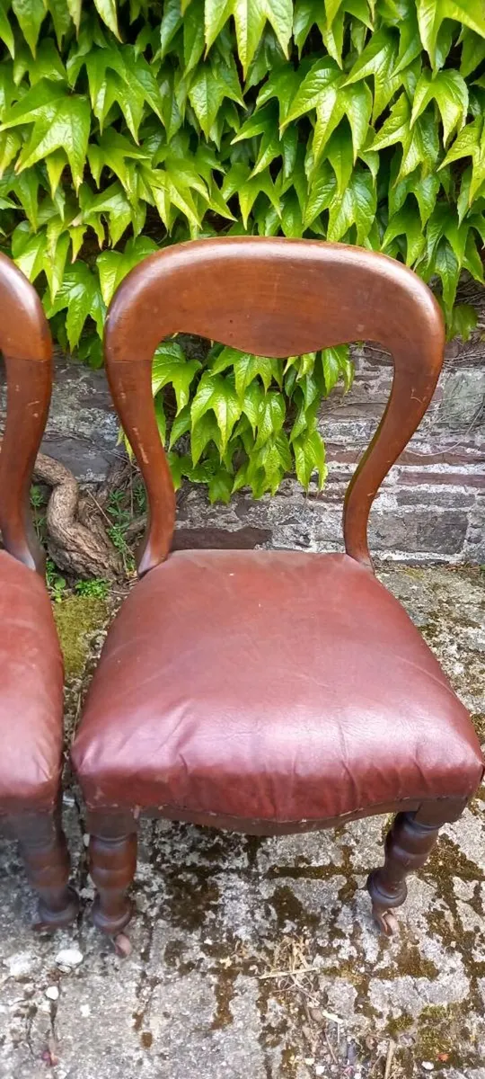 Antique set of four spoonback chairs - Image 2