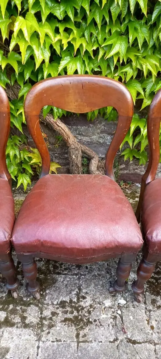 Antique set of four spoonback chairs - Image 3