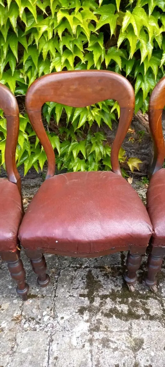 Antique set of four spoonback chairs - Image 4