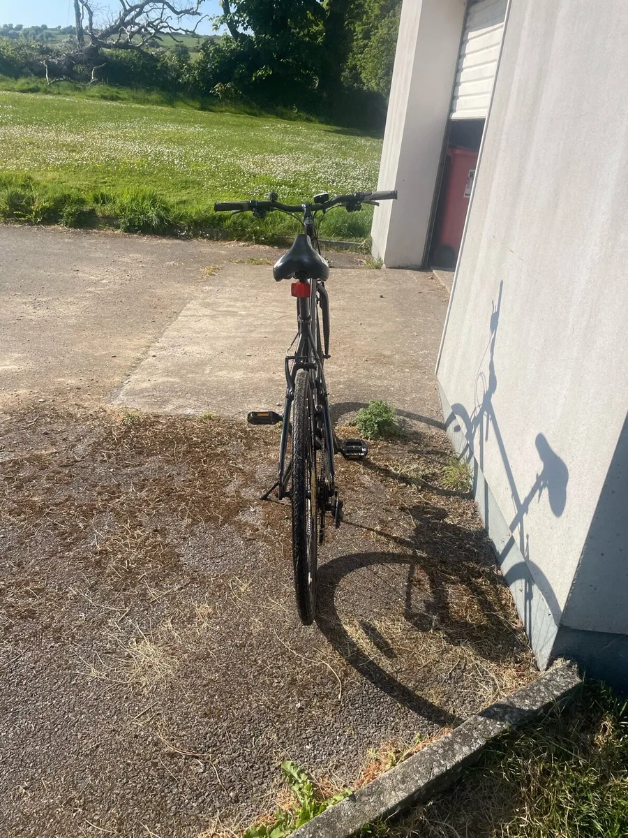 Bike - Image 2
