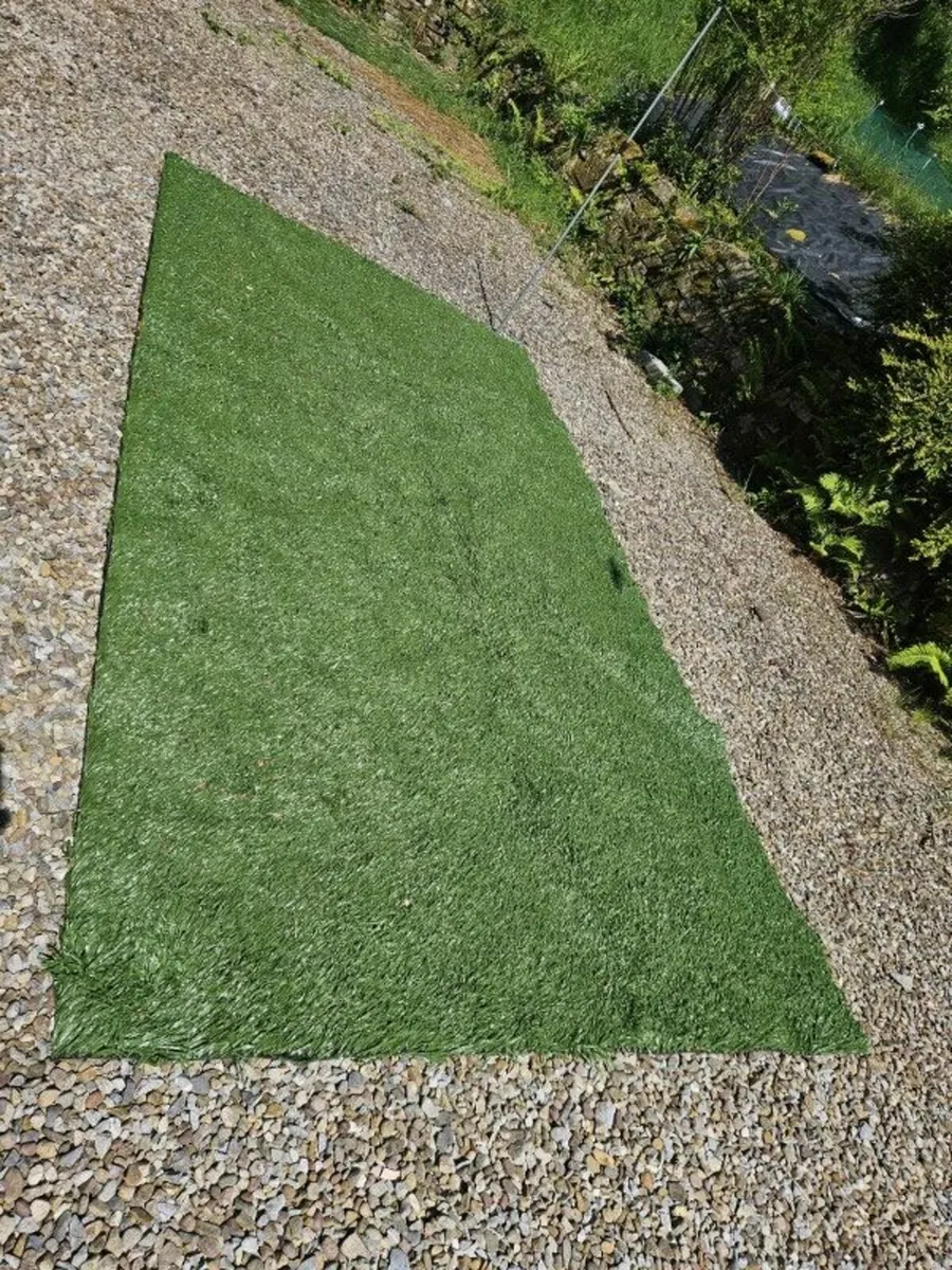 Artificial grass mat - Image 1