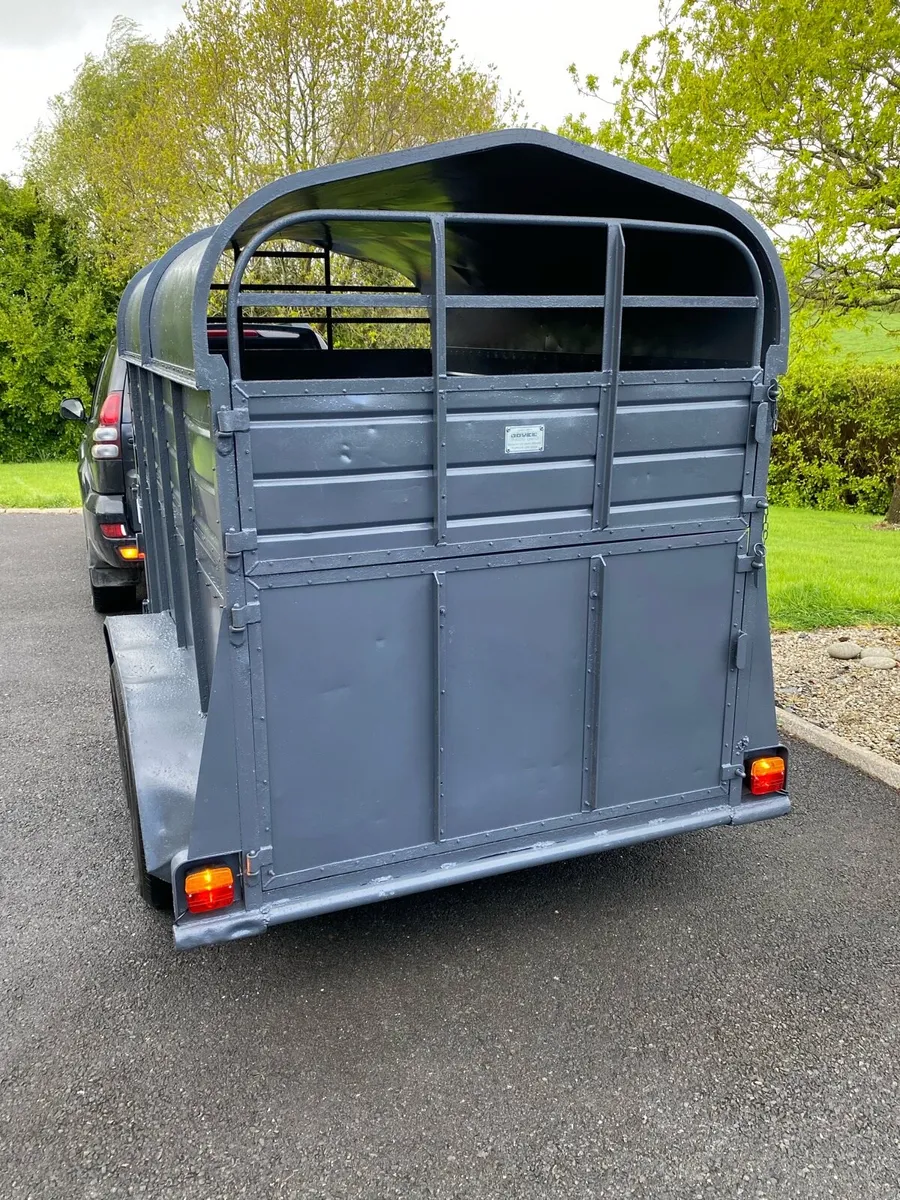 8x4”6 Joyce cattle box - Image 2