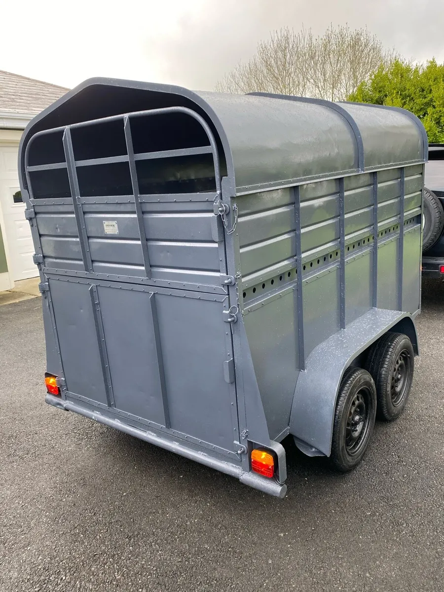 8x4”6 Joyce cattle box - Image 4