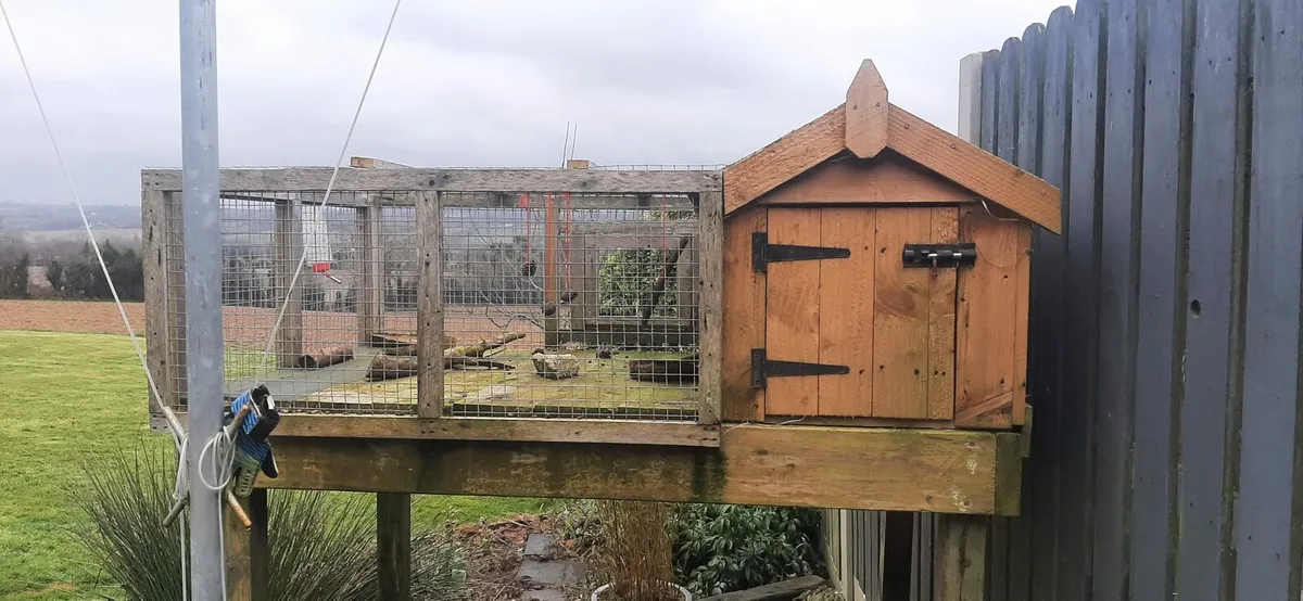 Rabbit pet hut - Image 2