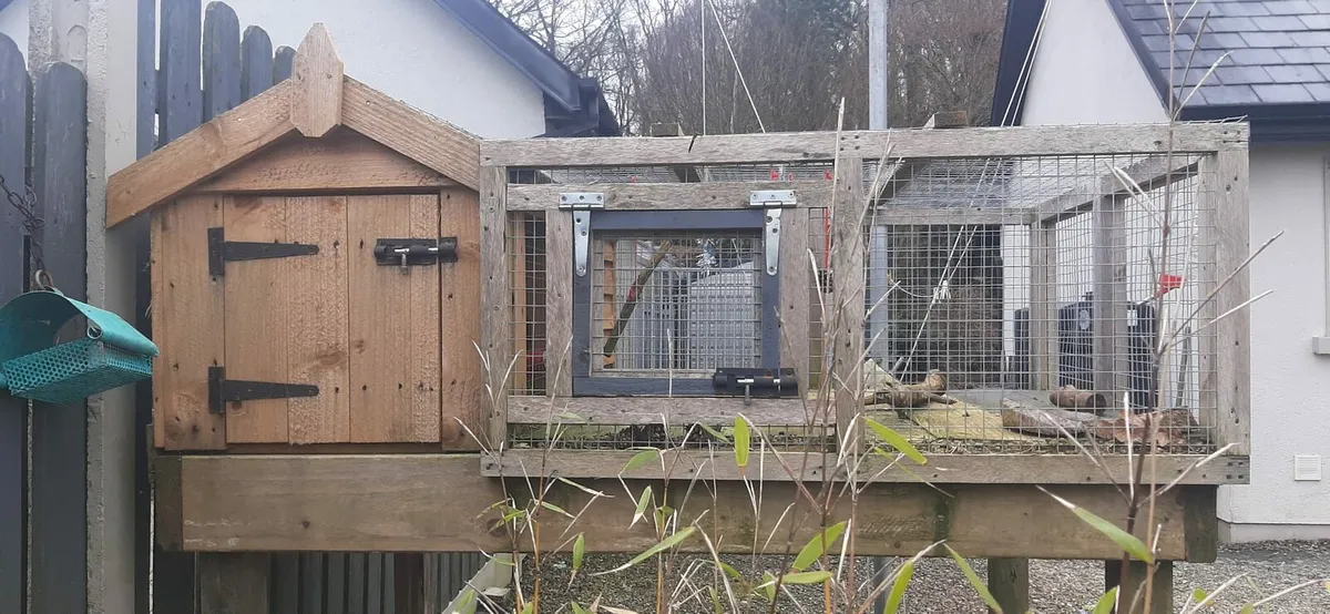 Rabbit pet hut - Image 3