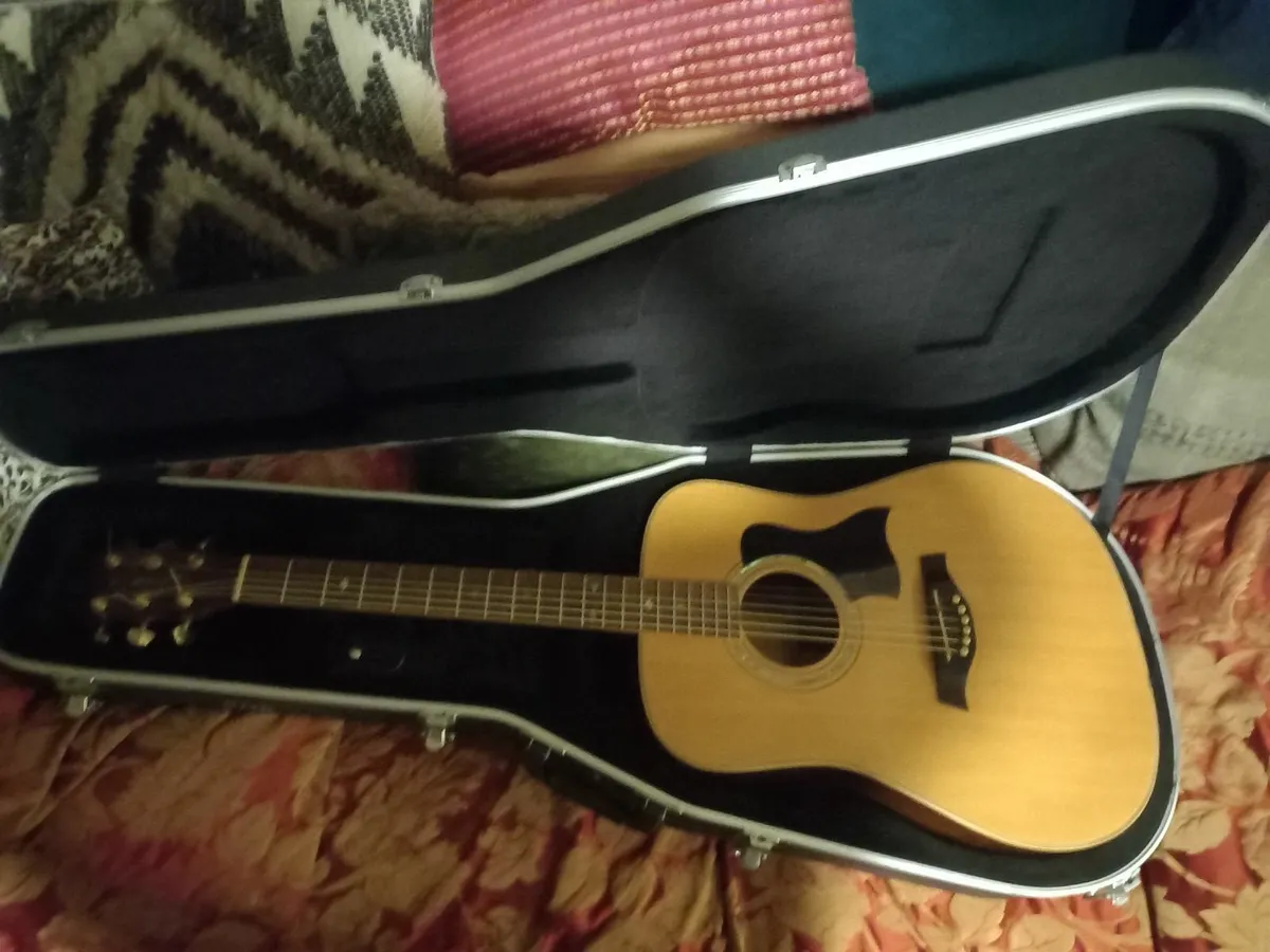 Acoustic guitar