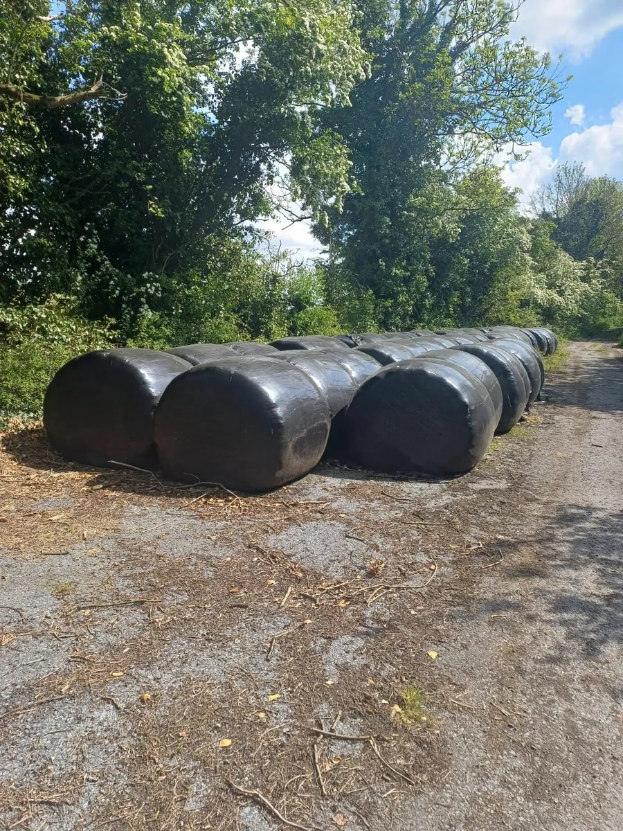 ROUND BALES BALLYOISIN/TRUAGH.