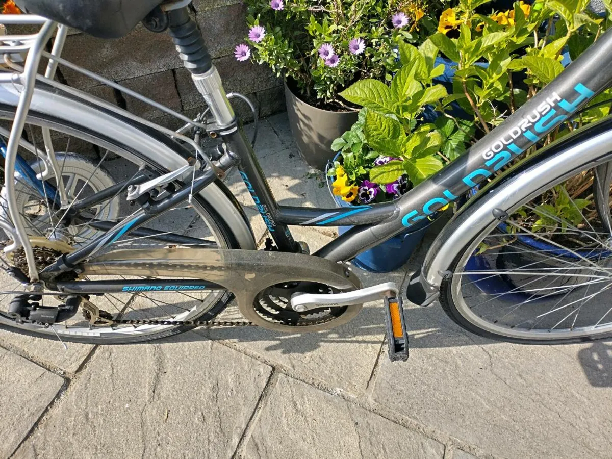 Ladies bike - Image 2