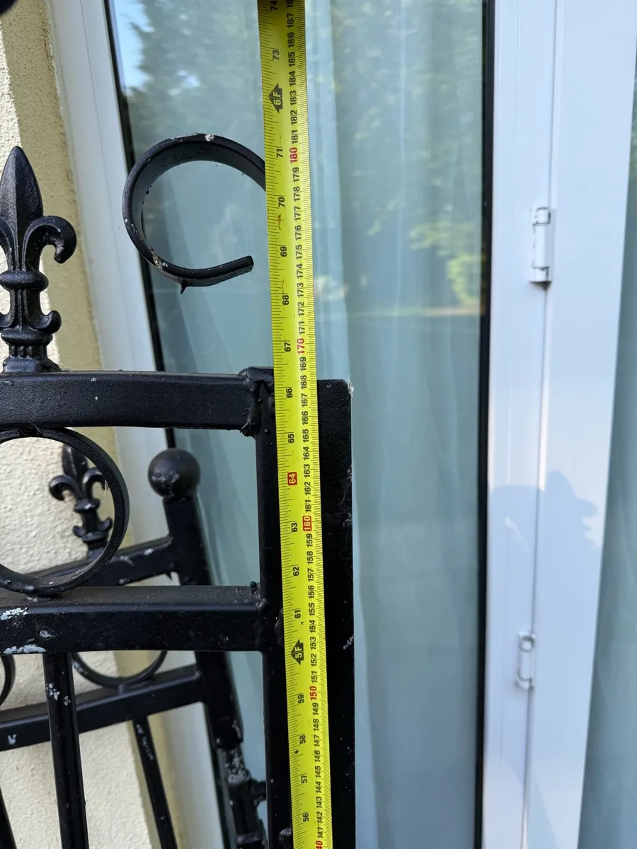 Entrance/ Driveway gates - Image 3