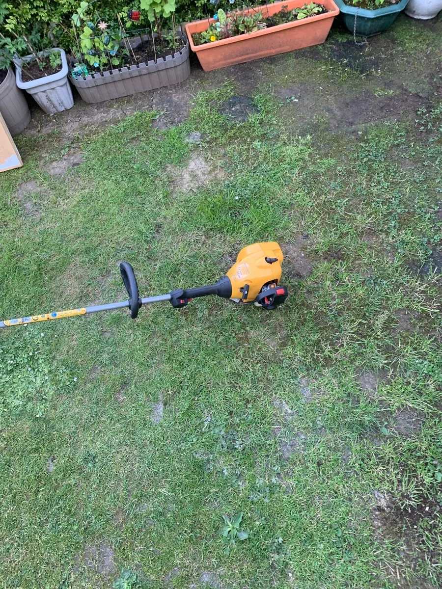 Strimmer - Image 2
