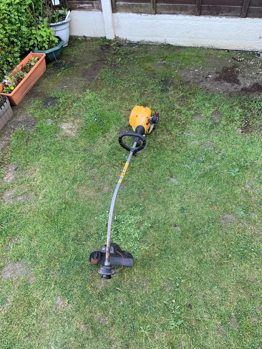 Strimmer - Image 3