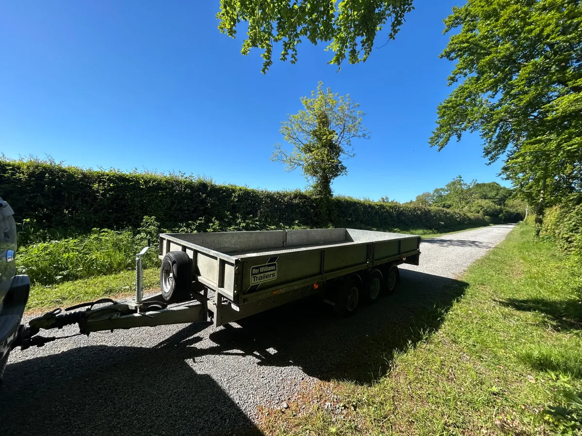Ifor Williams LM166 tri Axle with alum floor - Image 2