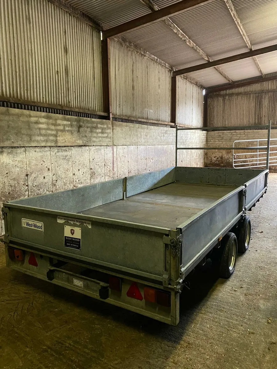 14ft iforwilliams dorp side trailer - Image 4