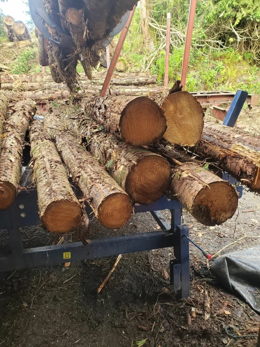 Firewood - Image 4