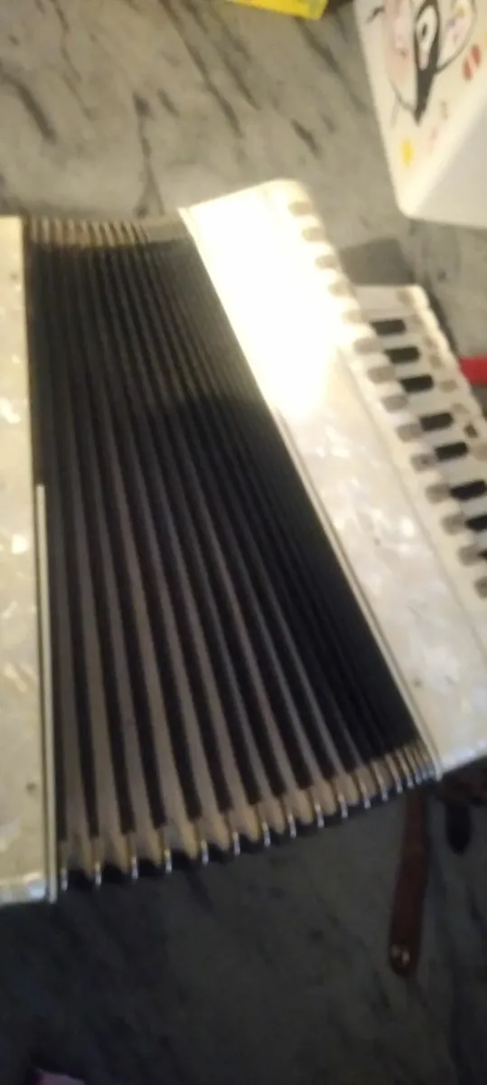 Piano accordion read add no offers - Image 2