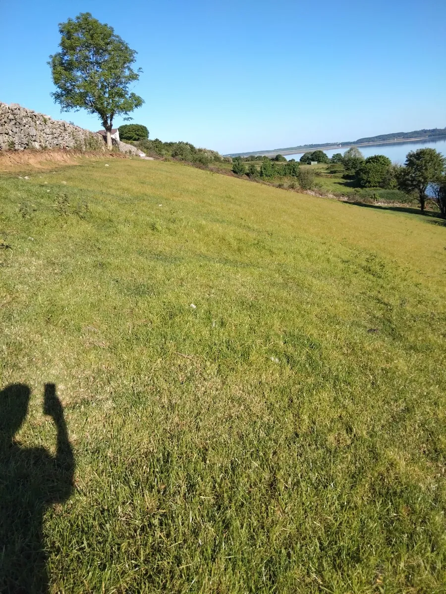 Short Term Grazing for Sheep - Image 2