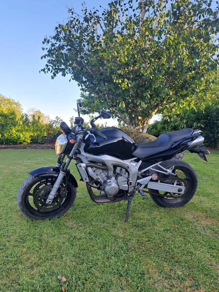 Fz6 naked - Image 4