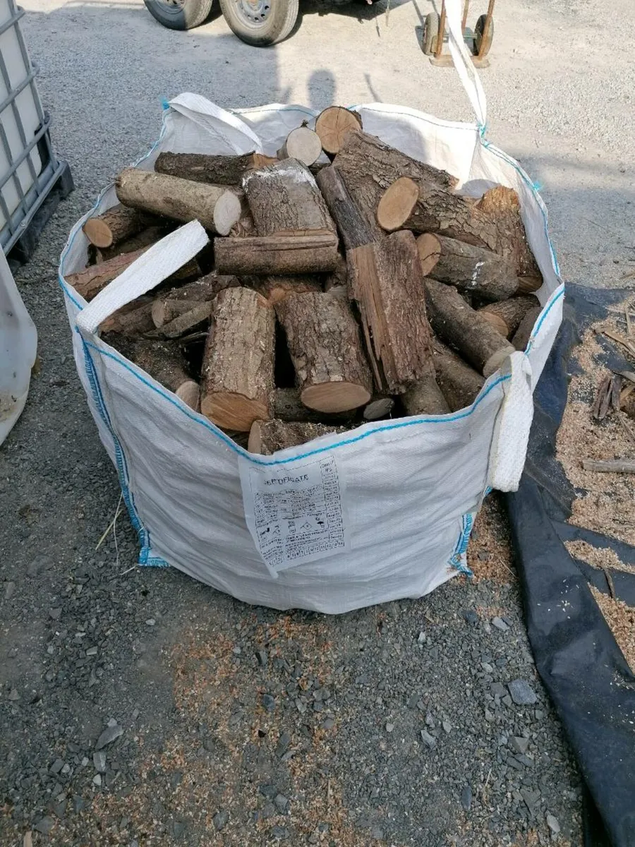 Firewood - Image 2