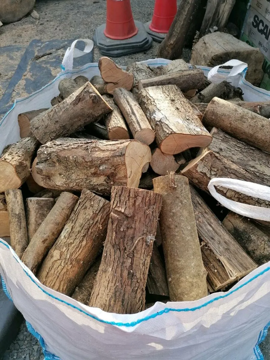 Firewood - Image 3