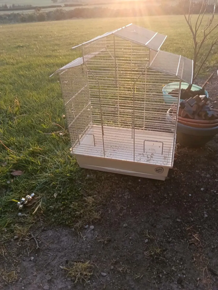 Bird cage - Image 3