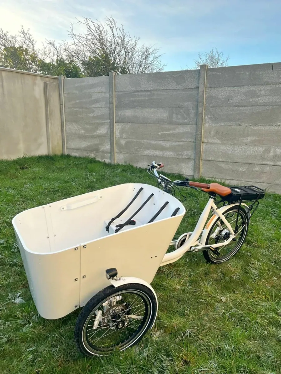 cargo cargo cargo  ebike - Image 3