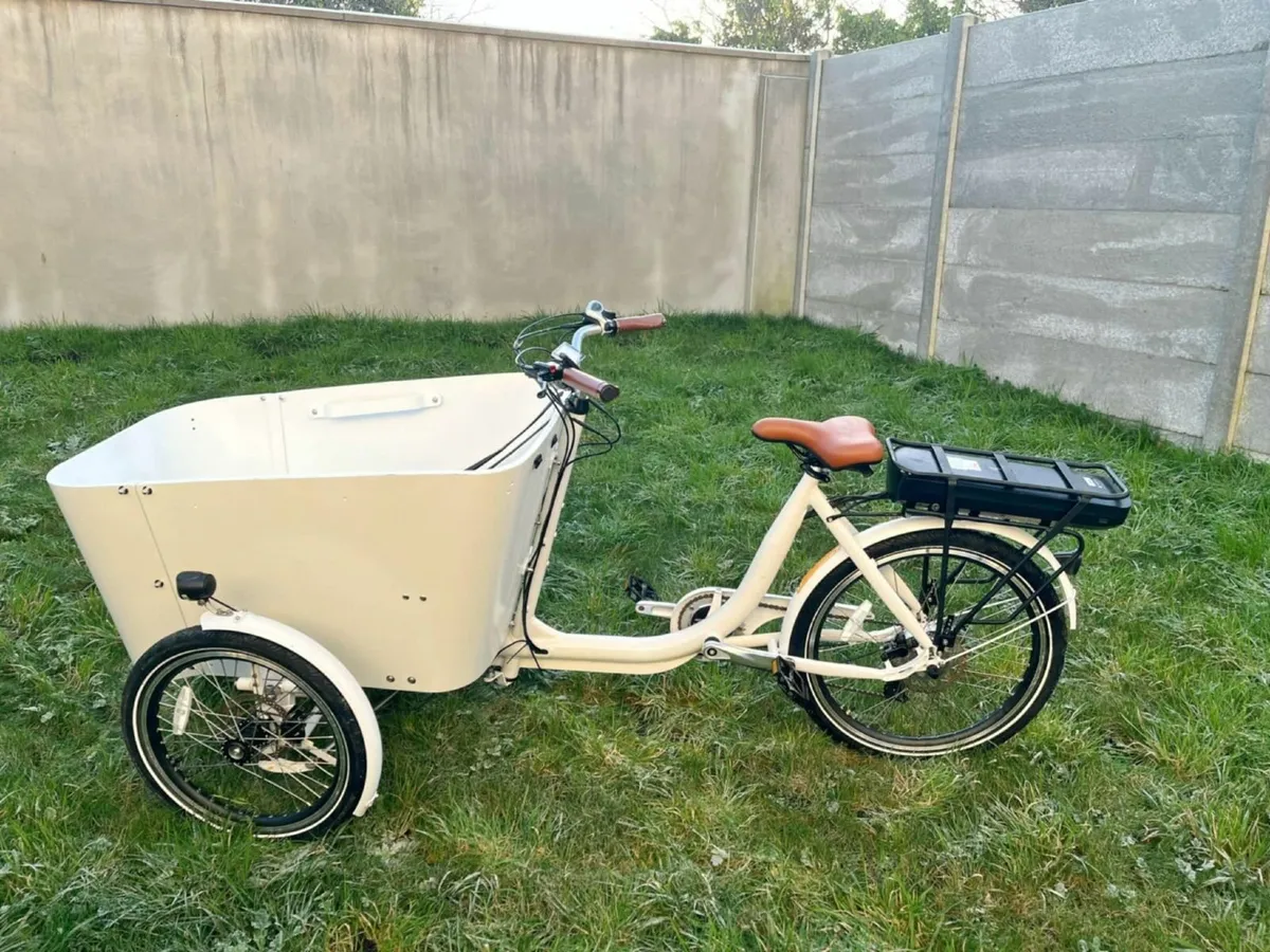 cargo ebike - Image 1
