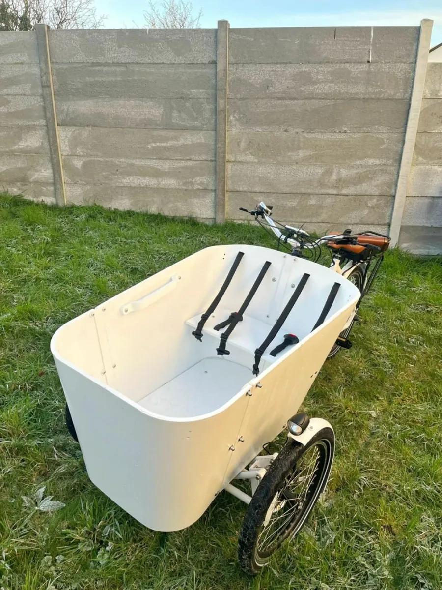 cargo ebike - Image 3