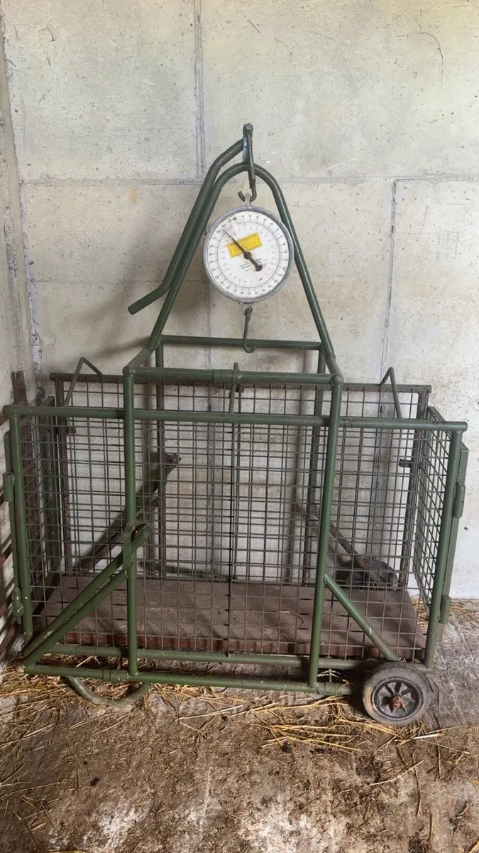 Sheep Scales / JFC single bin - Image 1