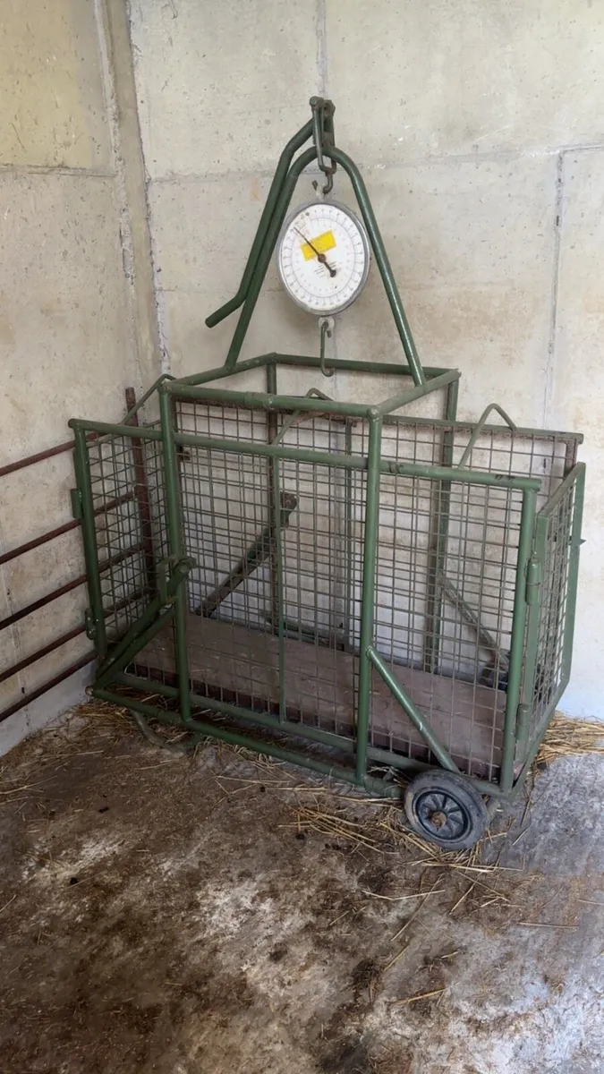 Sheep Scales / JFC single bin - Image 3