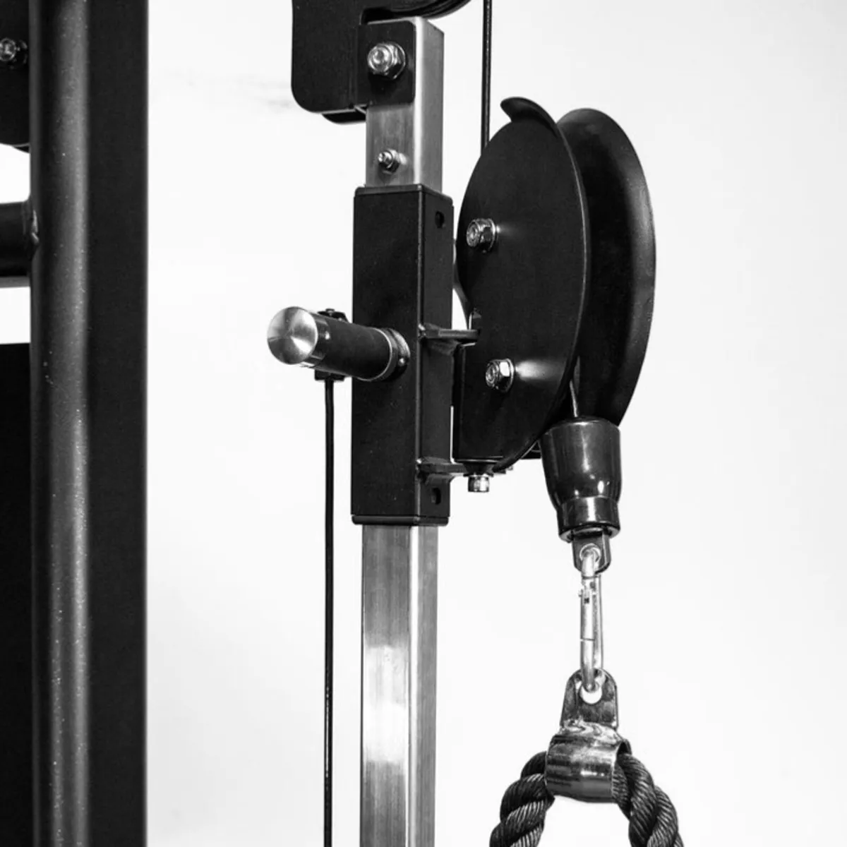 Primal Strength Performance Series DAP - Image 3