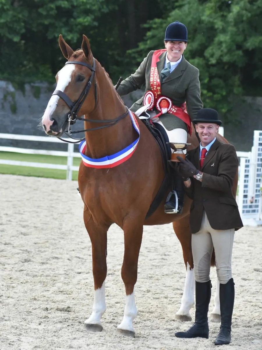 ⭐️DUBLIN BRANCH IDHBA SHOW⭐️ - Image 2