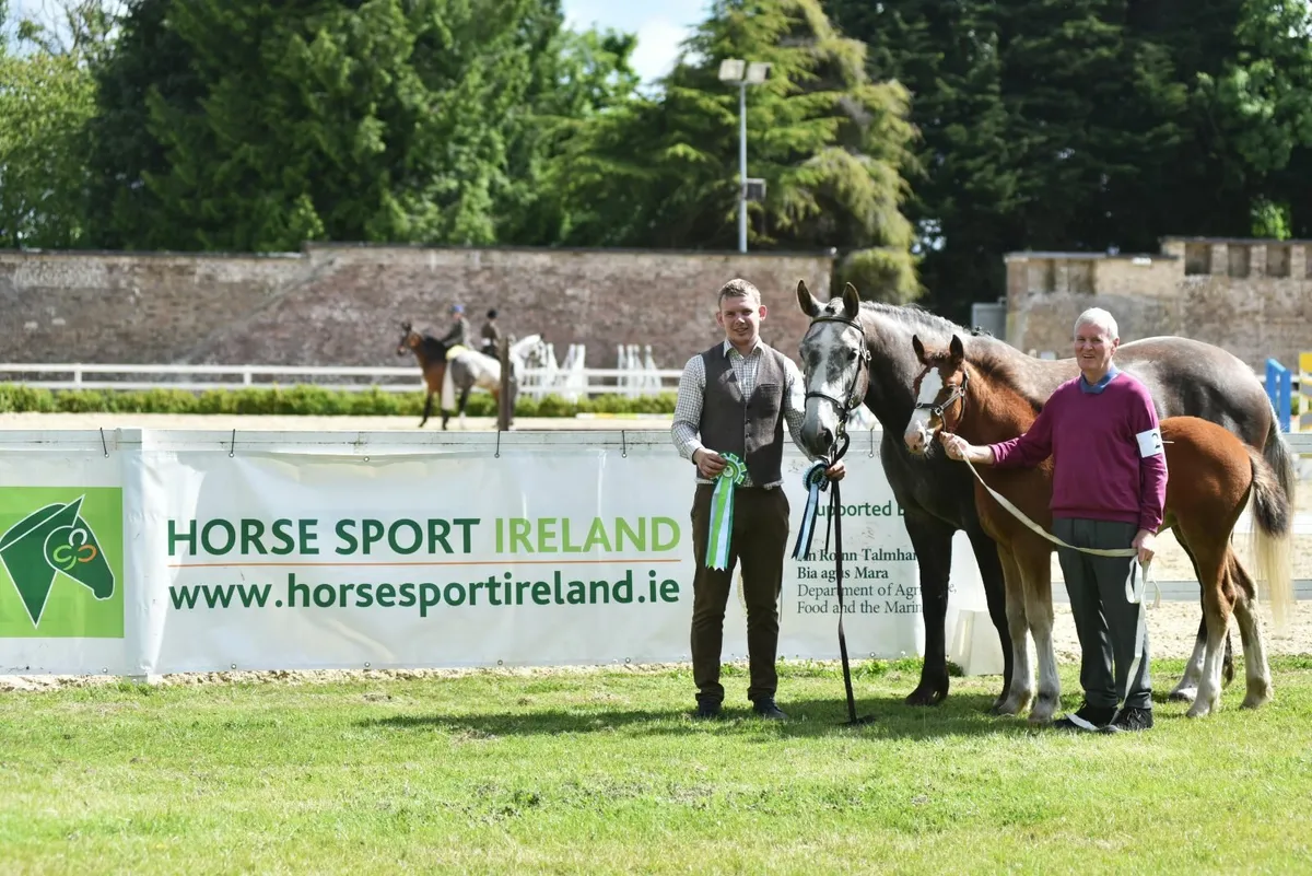 ⭐️DUBLIN BRANCH IDHBA SHOW⭐️ - Image 3