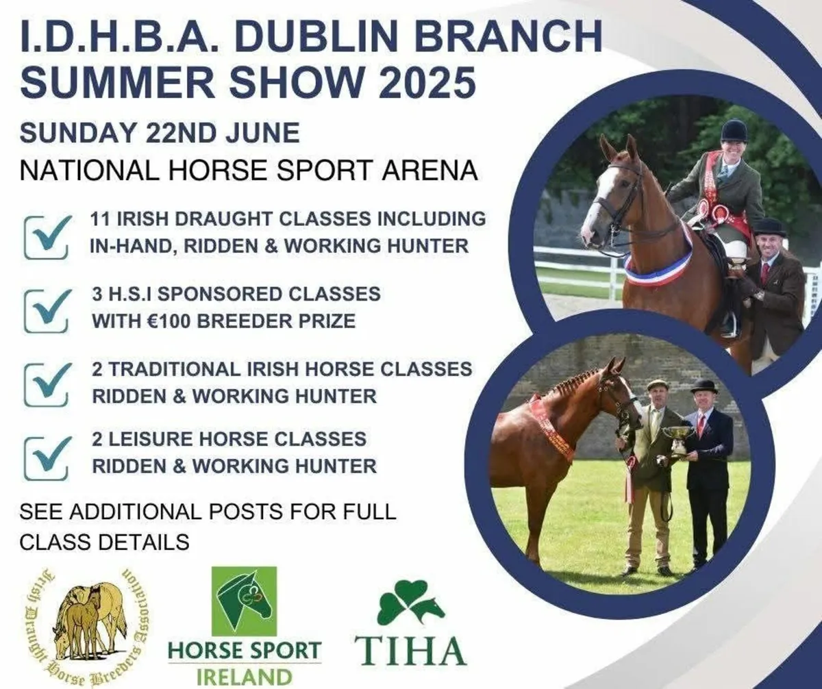 ⭐️DUBLIN BRANCH IDHBA SHOW⭐️ - Image 4