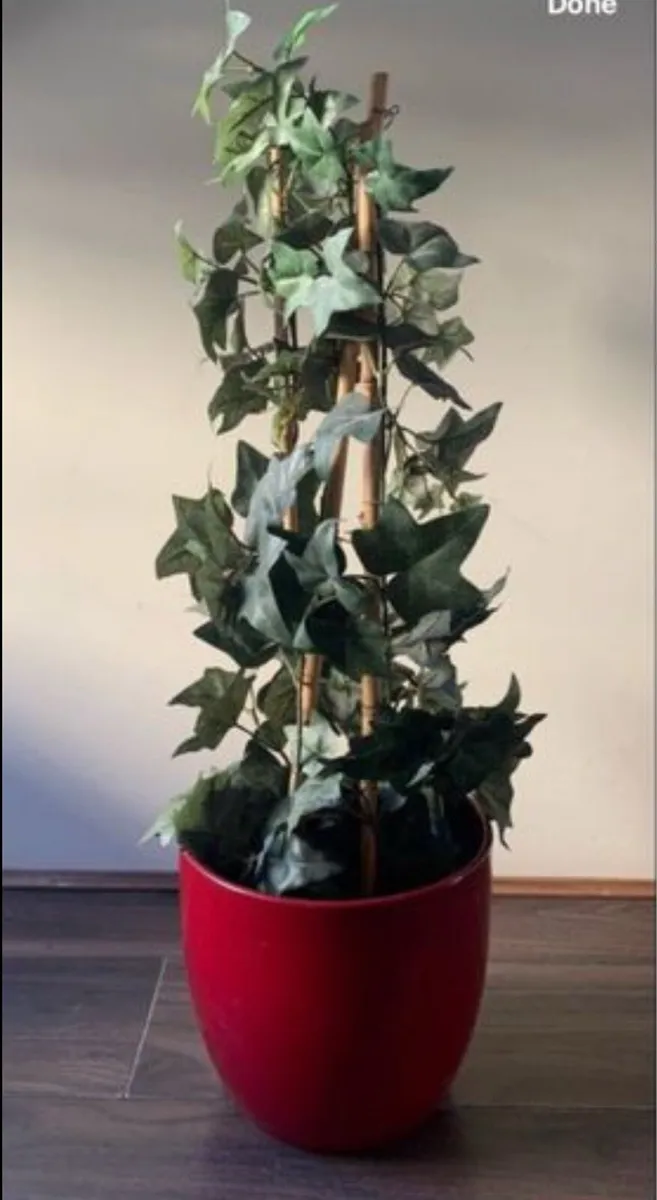 Artificial Plant - Image 1