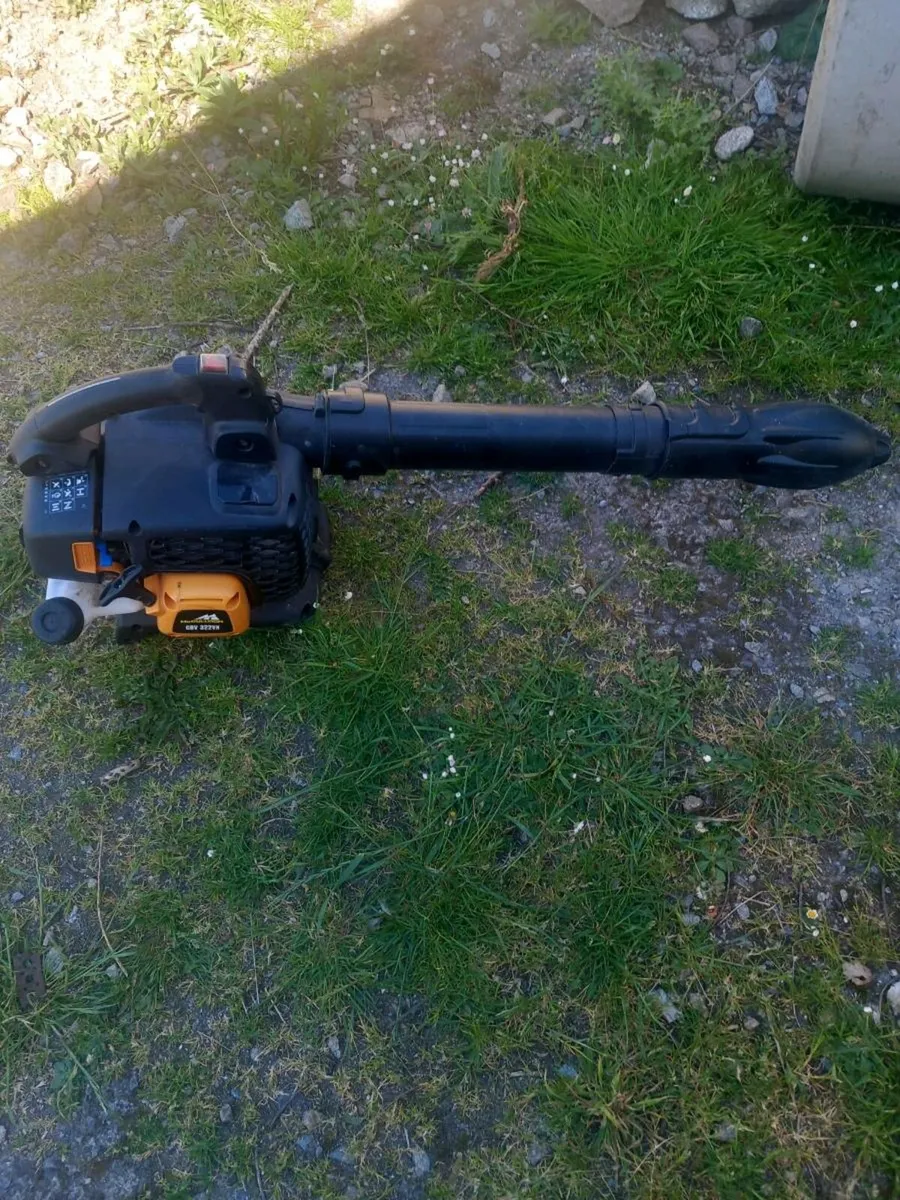 Leaf Blower - Image 1