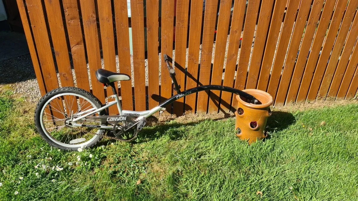 Tag along bike / trailerbike - Image 1