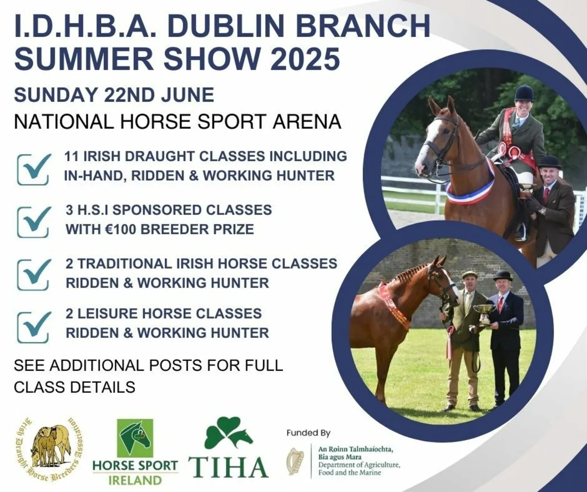 ⭐️DUBLIN BRANCH IDHBA SHOW⭐️ - Image 1